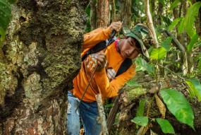 Verantwoord Bosbeheer (Bolivia)