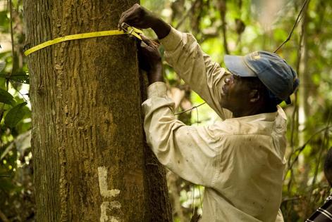 Congo Basin
