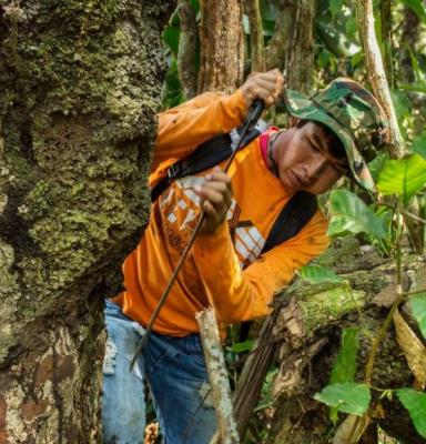 Verantwoord Bosbeheer (Bolivia)