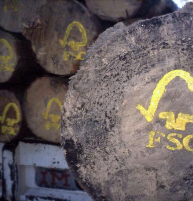 FSC logo op een verantwoord gekapte stam FSC logo op een verantwoord gekapte stam